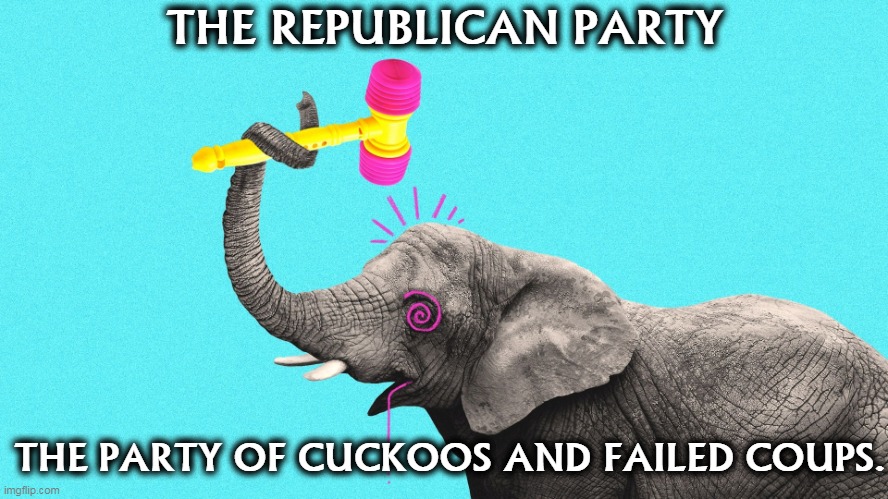 Will the last sane person please turn out the lights. | THE REPUBLICAN PARTY; THE PARTY OF CUCKOOS AND FAILED COUPS. | image tagged in republicans the party of cuckoos and failed coups,gop,republicans,coup,nuts | made w/ Imgflip meme maker