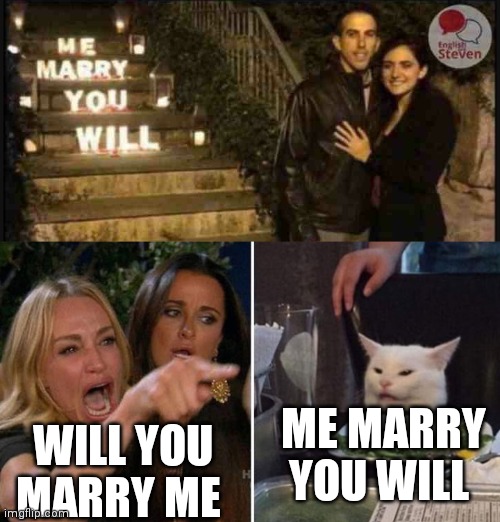 WILL YOU MARRY ME; ME MARRY YOU WILL | image tagged in angry lady cat | made w/ Imgflip meme maker