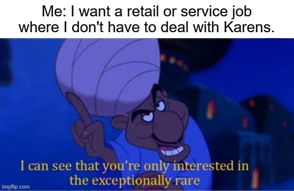 i see you're only interested in the exceptionally rare | Me: I want a retail or service job where I don't have to deal with Karens. | image tagged in i see you're only interested in the exceptionally rare | made w/ Imgflip meme maker
