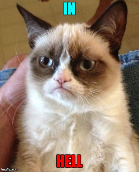 Grumpy Cat Meme | IN HELL | image tagged in memes,grumpy cat | made w/ Imgflip meme maker