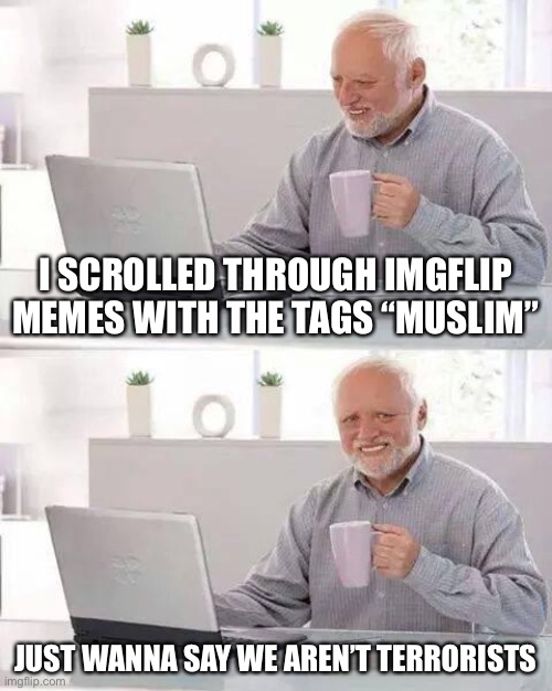 Never knew imgflip could be so islamiphobic | I SCROLLED THROUGH IMGFLIP MEMES WITH THE TAGS “MUSLIM”; JUST WANNA SAY WE AREN’T TERRORISTS | image tagged in memes,hide the pain harold | made w/ Imgflip meme maker