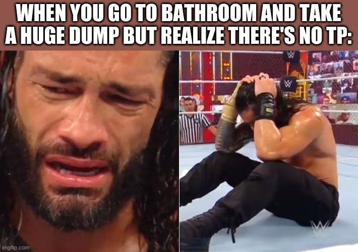 The pains of life | WHEN YOU GO TO BATHROOM AND TAKE A HUGE DUMP BUT REALIZE THERE'S NO TP: | image tagged in crying roman reigns,memes,relatable | made w/ Imgflip meme maker