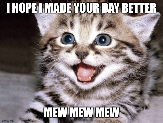 I HOPE I MADE YOUR DAY BETTER; MEW MEW MEW | image tagged in funny | made w/ Imgflip meme maker