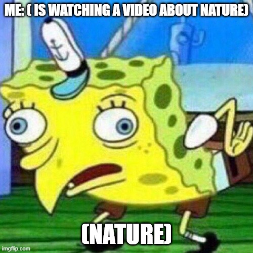 triggerpaul | ME: ( IS WATCHING A VIDEO ABOUT NATURE); (NATURE) | image tagged in triggerpaul | made w/ Imgflip meme maker