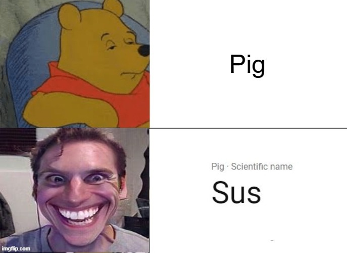 SUS | image tagged in among us,when the imposter is sus | made w/ Imgflip meme maker