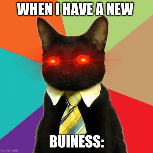 Business Cat |  WHEN I HAVE A NEW; BUINESS: | image tagged in memes,business cat | made w/ Imgflip meme maker