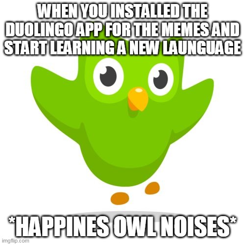 things-duolingo-teaches-you-imgflip