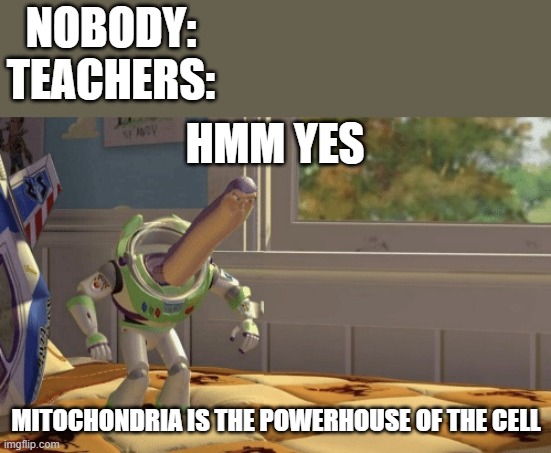 MiToChOnDriA iS thE POweRhOUsE of thE cEll | NOBODY:
TEACHERS:; HMM YES; MITOCHONDRIA IS THE POWERHOUSE OF THE CELL | image tagged in hmm yes | made w/ Imgflip meme maker