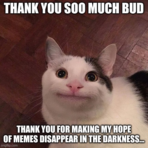 thx bro | THANK YOU SOO MUCH BUD THANK YOU FOR MAKING MY HOPE OF MEMES DISAPPEAR IN THE DARKNESS... | image tagged in thx bro | made w/ Imgflip meme maker