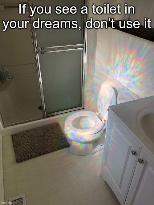 Don’t Ruin the Sheets | If you see a toilet in your dreams, don’t use it | image tagged in funny meme,toilet humor | made w/ Imgflip meme maker
