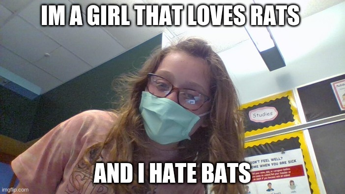 oolala | IM A GIRL THAT LOVES RATS; AND I HATE BATS | image tagged in x x everywhere,two buttons | made w/ Imgflip meme maker