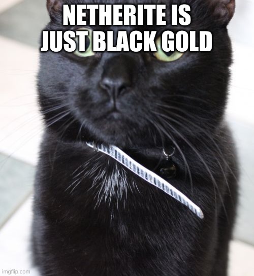 Woah Kitty Meme | NETHERITE IS JUST BLACK GOLD | image tagged in memes,woah kitty | made w/ Imgflip meme maker