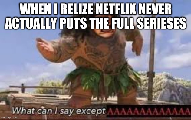 What can i say except aaaaaaaaaaa | WHEN I RELIZE NETFLIX NEVER ACTUALLY PUTS THE FULL SERIESES | image tagged in what can i say except aaaaaaaaaaa | made w/ Imgflip meme maker