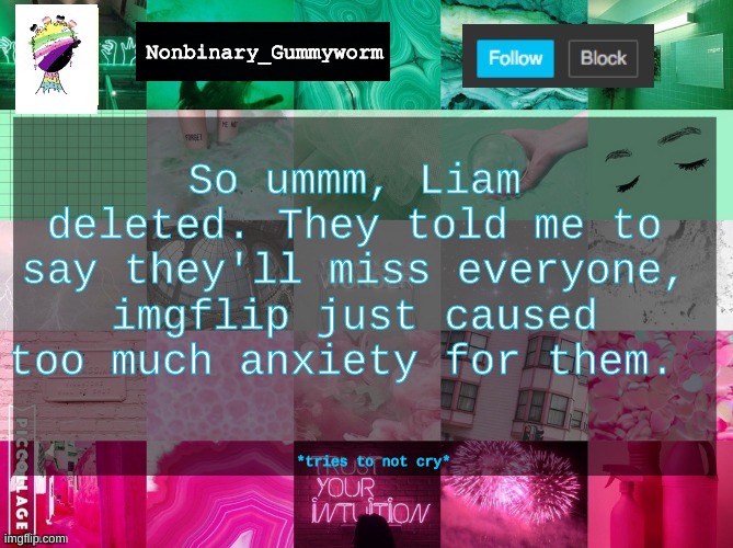 .... | So ummm, Liam deleted. They told me to say they'll miss everyone, imgflip just caused too much anxiety for them. *tries to not cry* | made w/ Imgflip meme maker