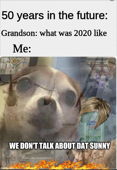 2020 flashback | 50 years in the future:; Grandson: what was 2020 like; Me:; WE DON'T TALK ABOUT DAT SUNNY | image tagged in karens,hurricane,coronavirus,2020,flashback | made w/ Imgflip meme maker