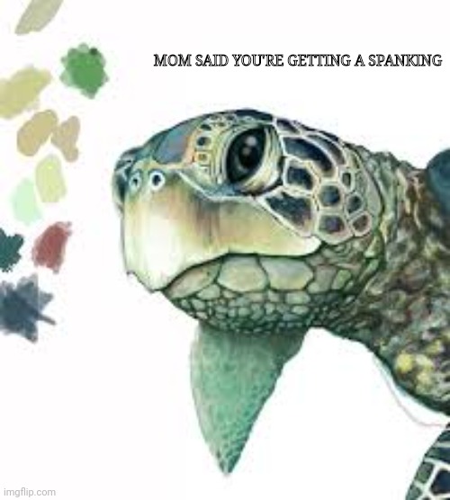Go cut me a switch | MOM SAID YOU'RE GETTING A SPANKING | image tagged in meme,memes,dark humor,turtle meme,turtle say what,your mom | made w/ Imgflip meme maker