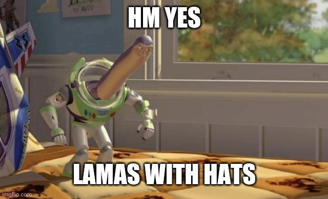 Hmm yes | HM YES LAMAS WITH HATS | image tagged in hmm yes | made w/ Imgflip meme maker