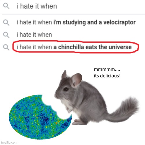 i hate it when a chinchilla eats the universe... | image tagged in memes,funny,universe,i hate it when,wtf,delicious | made w/ Imgflip meme maker