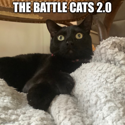Battle! | THE BATTLE CATS 2.0 | image tagged in memes | made w/ Imgflip meme maker