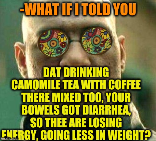 -Tiny liquid crap. | -WHAT IF I TOLD YOU; DAT DRINKING CAMOMILE TEA WITH COFFEE THERE MIXED TOO, YOUR BOWELS GOT DIARRHEA, SO THEE ARE LOSING ENERGY, GOING LESS IN WEIGHT? | image tagged in acid kicks in morpheus,toilet humor,diarrhea,losing,overweight,what if i told you | made w/ Imgflip meme maker