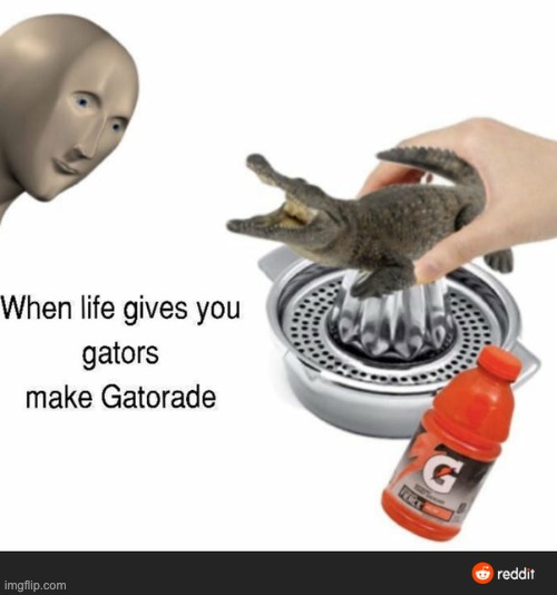 this is from reddit | image tagged in gatorade is yummy | made w/ Imgflip meme maker