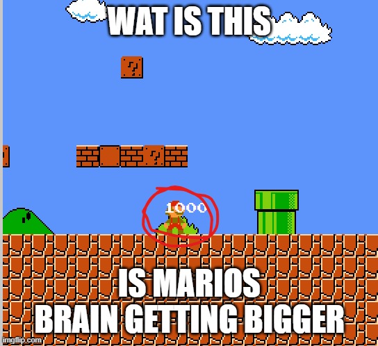 e | WAT IS THIS; IS MARIOS BRAIN GETTING BIGGER | image tagged in memes | made w/ Imgflip meme maker