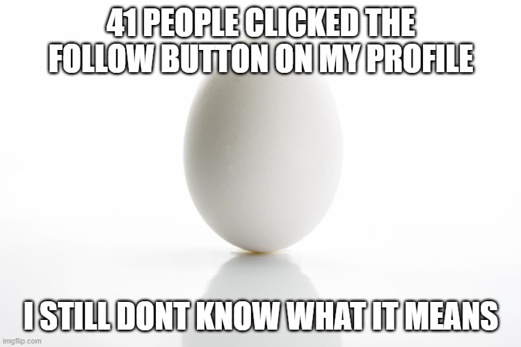 Egg | 41 PEOPLE CLICKED THE FOLLOW BUTTON ON MY PROFILE; I STILL DONT KNOW WHAT IT MEANS | image tagged in egg | made w/ Imgflip meme maker
