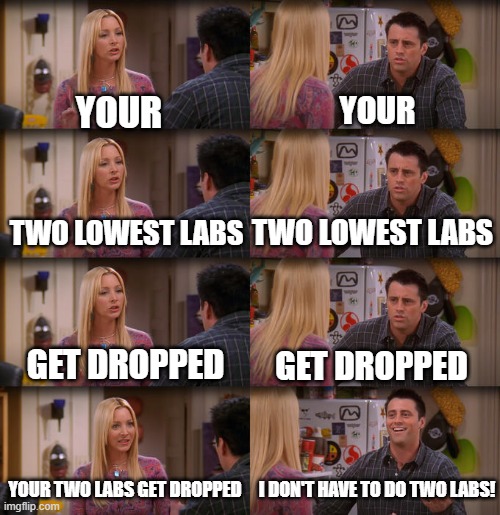 Joey Repeat After Me | YOUR; YOUR; TWO LOWEST LABS; TWO LOWEST LABS; GET DROPPED; GET DROPPED; YOUR TWO LABS GET DROPPED; I DON'T HAVE TO DO TWO LABS! | image tagged in joey repeat after me | made w/ Imgflip meme maker