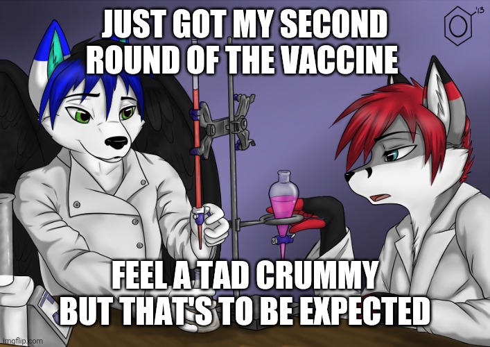 Art (commissioned or drawn idk) by this awesome furry microbiologist who's working on researching the virus. | JUST GOT MY SECOND ROUND OF THE VACCINE; FEEL A TAD CRUMMY BUT THAT'S TO BE EXPECTED | image tagged in vaccine,furry,science | made w/ Imgflip meme maker