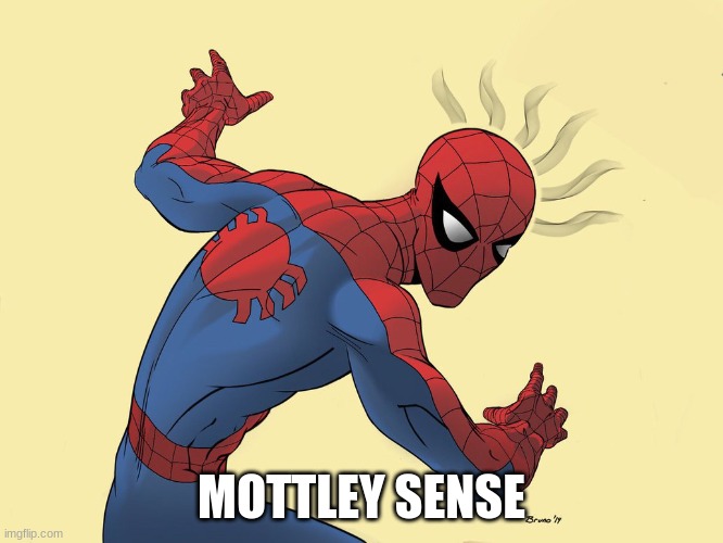 spidey sense | MOTTLEY SENSE | image tagged in spidey sense | made w/ Imgflip meme maker