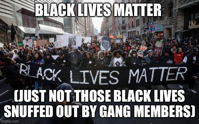 SBLM | BLACK LIVES MATTER; (JUST NOT THOSE BLACK LIVES SNUFFED OUT BY GANG MEMBERS) | image tagged in black lives matter | made w/ Imgflip meme maker