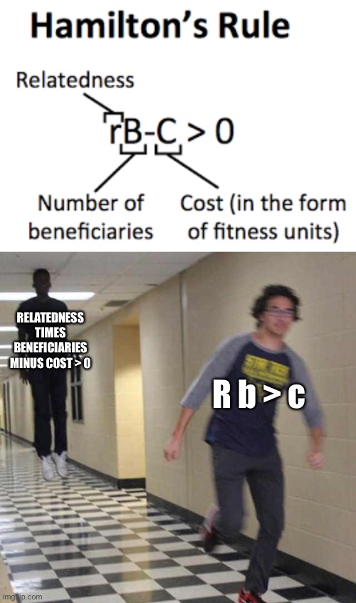 RELATEDNESS TIMES BENEFICIARIES MINUS COST > 0; R b > c | image tagged in floating boy chasing running boy | made w/ Imgflip meme maker