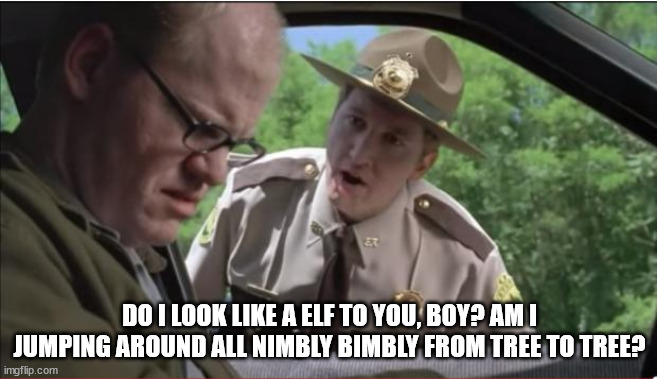 supertroopers meow | DO I LOOK LIKE A ELF TO YOU, BOY? AM I JUMPING AROUND ALL NIMBLY BIMBLY FROM TREE TO TREE? | image tagged in supertroopers meow | made w/ Imgflip meme maker