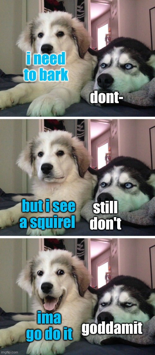 doggos | dont-; i need to bark; but i see a squirel; still don't; ima go do it; goddamit | image tagged in bad pun dogs,notperfect | made w/ Imgflip meme maker