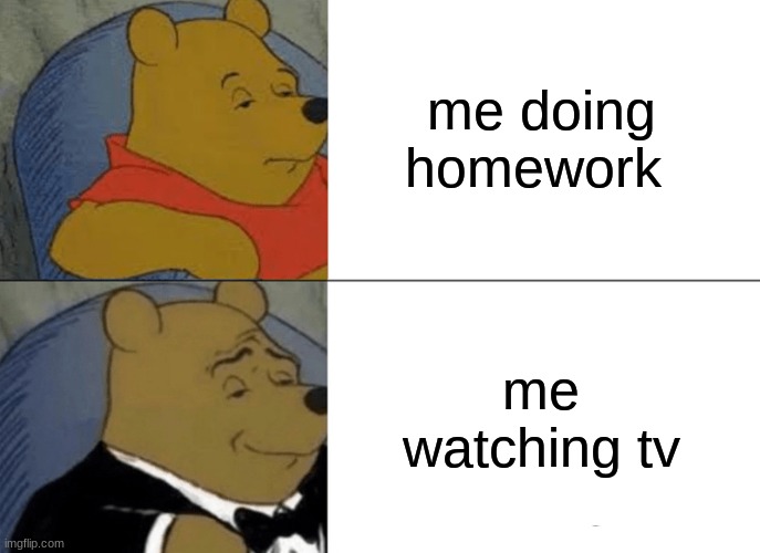 Tuxedo Winnie The Pooh Meme | me doing homework; me watching tv | image tagged in memes,tuxedo winnie the pooh | made w/ Imgflip meme maker