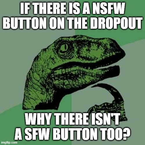 This doesn't makes sense... | IF THERE IS A NSFW BUTTON ON THE DROPOUT; WHY THERE ISN'T A SFW BUTTON TOO? | image tagged in memes,philosoraptor | made w/ Imgflip meme maker