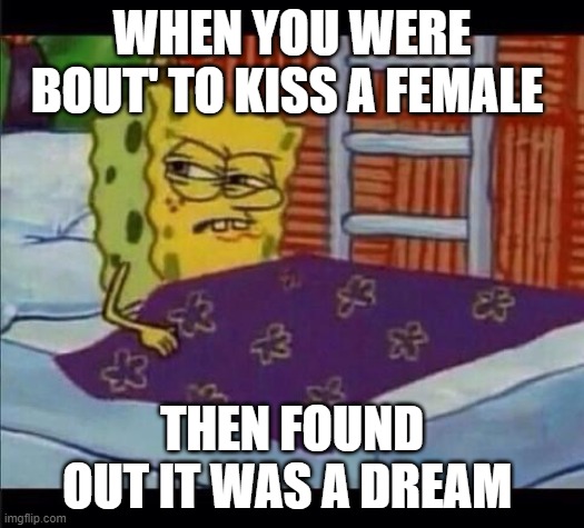 SpongeBob waking up  |  WHEN YOU WERE BOUT' TO KISS A FEMALE; THEN FOUND OUT IT WAS A DREAM | image tagged in spongebob waking up | made w/ Imgflip meme maker