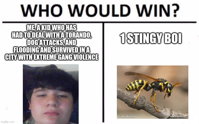 i have a severe phobia of wasps | ME, A KID WHO HAS HAD TO DEAL WITH A TORANDO, DOG ATTACKS, AND FLOODING AND SURVIVED IN A CITY WITH EXTREME GANG VIOLENCE; 1 STINGY BOI | image tagged in memes,who would win | made w/ Imgflip meme maker