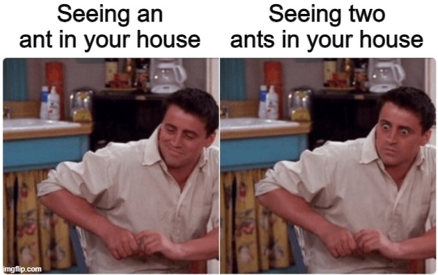 Joey from Friends | Seeing an ant in your house; Seeing two ants in your house | image tagged in joey from friends | made w/ Imgflip meme maker