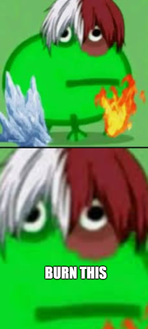 burn this deku Blank Meme Template