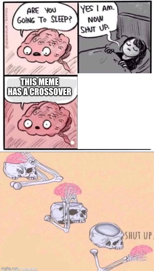 This meme is a crossover | THIS MEME HAS A CROSSOVER | image tagged in are you going to sleep,skeleton shut up meme | made w/ Imgflip meme maker