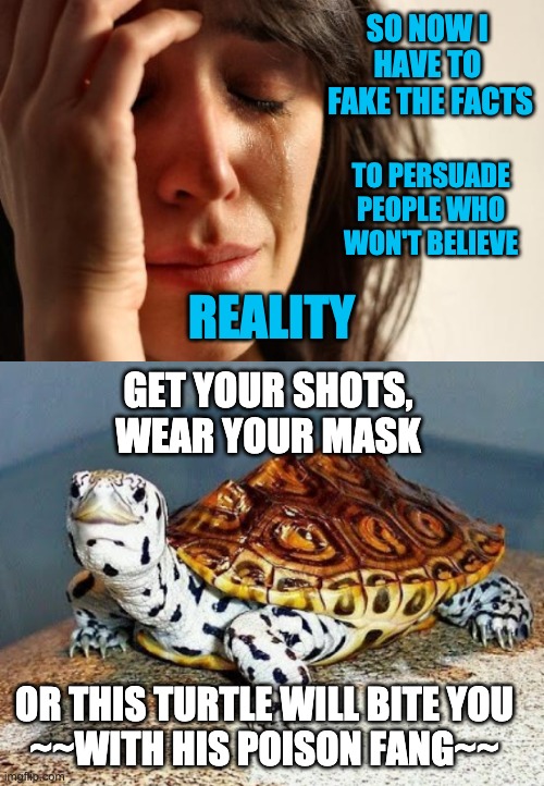 What to do when anti-vaxxers are also anti-facts? | SO NOW I 
HAVE TO 
FAKE THE FACTS; TO PERSUADE
PEOPLE WHO
WON'T BELIEVE; REALITY; GET YOUR SHOTS, WEAR YOUR MASK; OR THIS TURTLE WILL BITE YOU
~~WITH HIS POISON FANG~~ | image tagged in memes,first world problems,vaccines,turtle | made w/ Imgflip meme maker