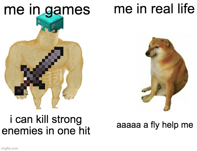 us in a nutshell | me in games; me in real life; i can kill strong enemies in one hit; aaaaa a fly help me | image tagged in memes,buff doge vs cheems,video games | made w/ Imgflip meme maker