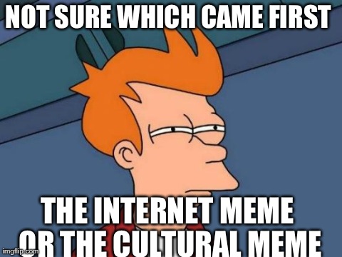 Futurama Fry Meme | NOT SURE WHICH CAME FIRST  THE INTERNET MEME OR THE CULTURAL MEME | image tagged in memes,futurama fry | made w/ Imgflip meme maker