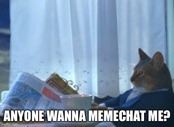 I Should Buy A Boat Cat | ANYONE WANNA MEMECHAT ME? | image tagged in memes,i should buy a boat cat | made w/ Imgflip meme maker