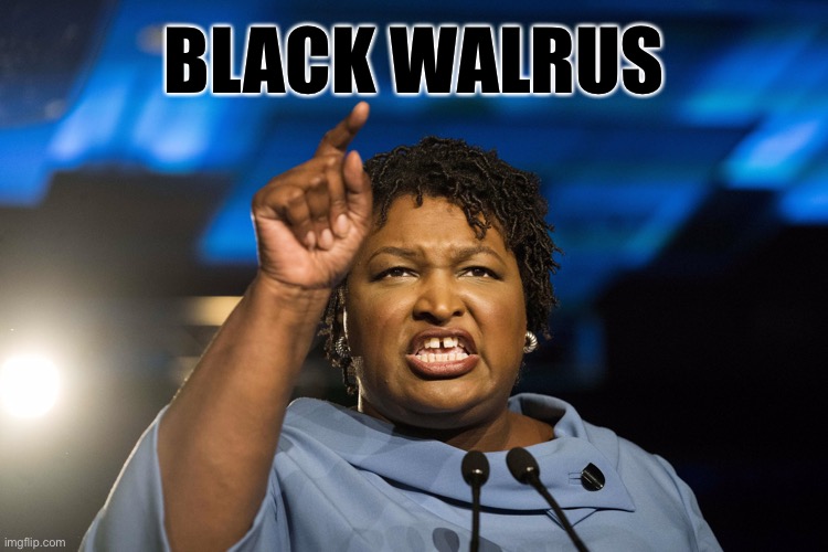 Black Walrus | BLACK WALRUS | image tagged in stacey abrams,memes,black,walrus,bad joke,georgia | made w/ Imgflip meme maker
