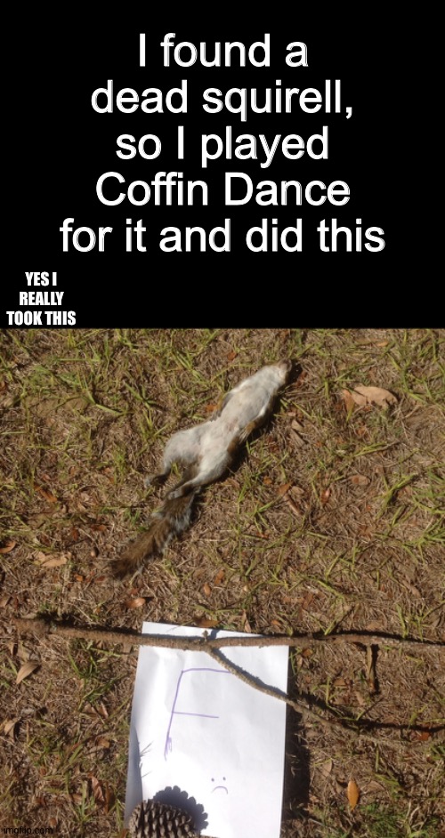 Rip | I found a dead squirell, so I played Coffin Dance for it and did this; YES I REALLY TOOK THIS | image tagged in blank black,press f to pay respects,dead,squirrel,coffin dance,sad | made w/ Imgflip meme maker