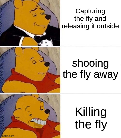 lol | Capturing the fly and releasing it outside; shooing the fly away; Killing the fly | image tagged in tuxedo on top winnie the pooh 3 panel | made w/ Imgflip meme maker