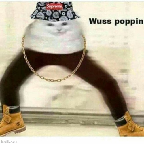 wuss poppin | image tagged in wuss poppin | made w/ Imgflip meme maker