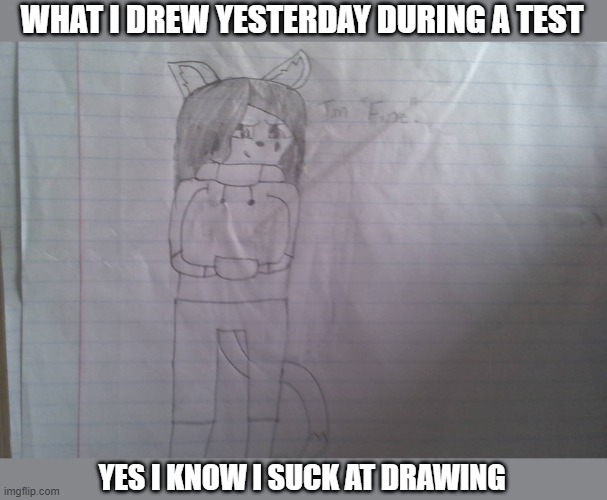 WHAT I DREW YESTERDAY DURING A TEST; YES I KNOW I SUCK AT DRAWING | made w/ Imgflip meme maker